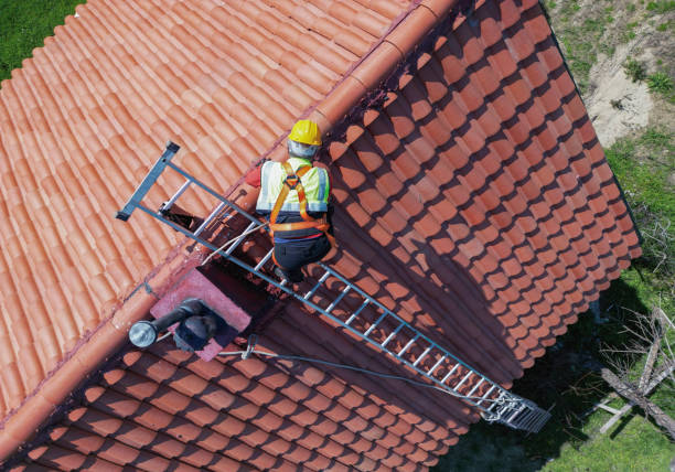 Best Roof Coating and Sealing  in Yaeyville, NC